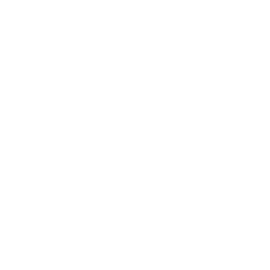 Logo Softroids White